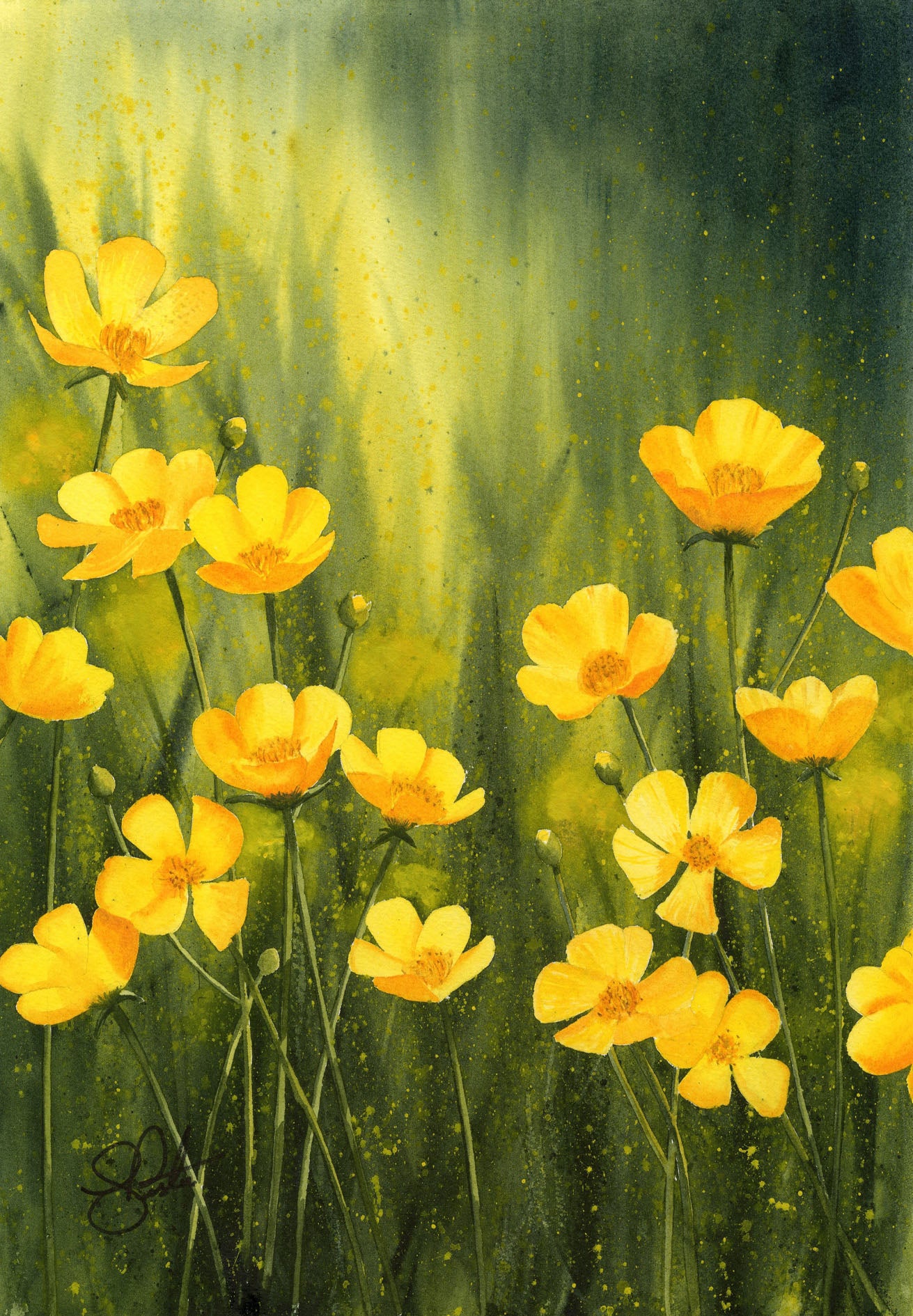 Buttercup Flowers Watercolor Wall Art Print Meadow Buttercups